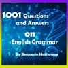 1001 Questions and Answers on English Grammar - Free Audiobook
