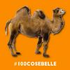 #100cosebelle