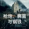 168名士兵战胜8万大军的奇迹《枪炮、病菌与钢铁》