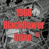 1968 Blackflower Drive