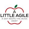 Little Agile