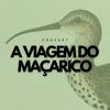 A Viagem do Maçarico