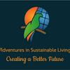 Adventures in Sustainable Living