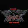 Aerosmith - Audio Biography