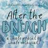 After the Breach Podcast