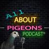 All About Pigeons