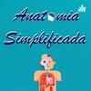 Anatomia Simplificada