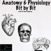 Anatomy and Physiology - Bit by Bit