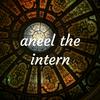 aneel the intern