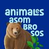 Animales Asombrosos