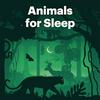 Animals for Sleep