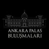 Ankara Palas Buluşmaları