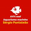 Aquarismo marinho com Sérgio Pantaleão