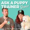 Ask A Puppy Trainer Show