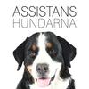 Assistanshundarna