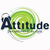 Attitude