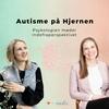 Autisme på Hjernen