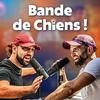 Bande de Chiens !