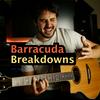 Barracuda Breakdowns