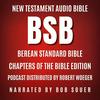 Berean Standard Bible (BSB) - New Testament Audio Bible