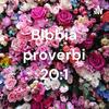 Bibbia proverbi 20:1