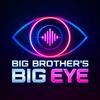 Big Brother's Big Eye