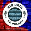 Big Data Po Polsku