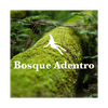 Bosque Adentro, meditación y espiritualidad con Nicolás Achury
