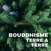 Bouddhisme terre à terre