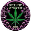 Breeders Syndicate 3.0