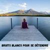 Bruits Blancs pour se détendre / White Noises to relax