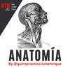 BTH-Anatomía