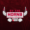 By The Horns: A Chicago Bulls Show