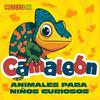 Camaleón: Animales para niños curiosos