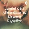 Caminho Da Alimentaçao No Sistema Digestivo