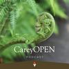 CareyOPEN