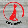 Cat 81 Radio