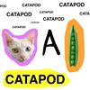 Catapod