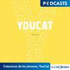 Catecismo de los jóvenes, YouCat