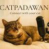 CatPadawan, donde conectamos con los gatos