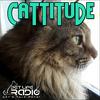 Cattitude - The #1 Cat Podcast