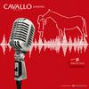 Cavallo Magazine