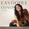 Cavoodle Coach Podcast