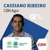 CBN Agro - Cassiano Ribeiro
