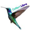 Colibri Libre
