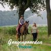 De Gangenpaarden Podcast