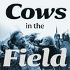 Cows in the field