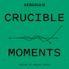 Crucible Moments