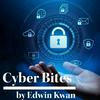 Cyber Bites