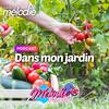 Dans mon jardin - Radio Mélodie